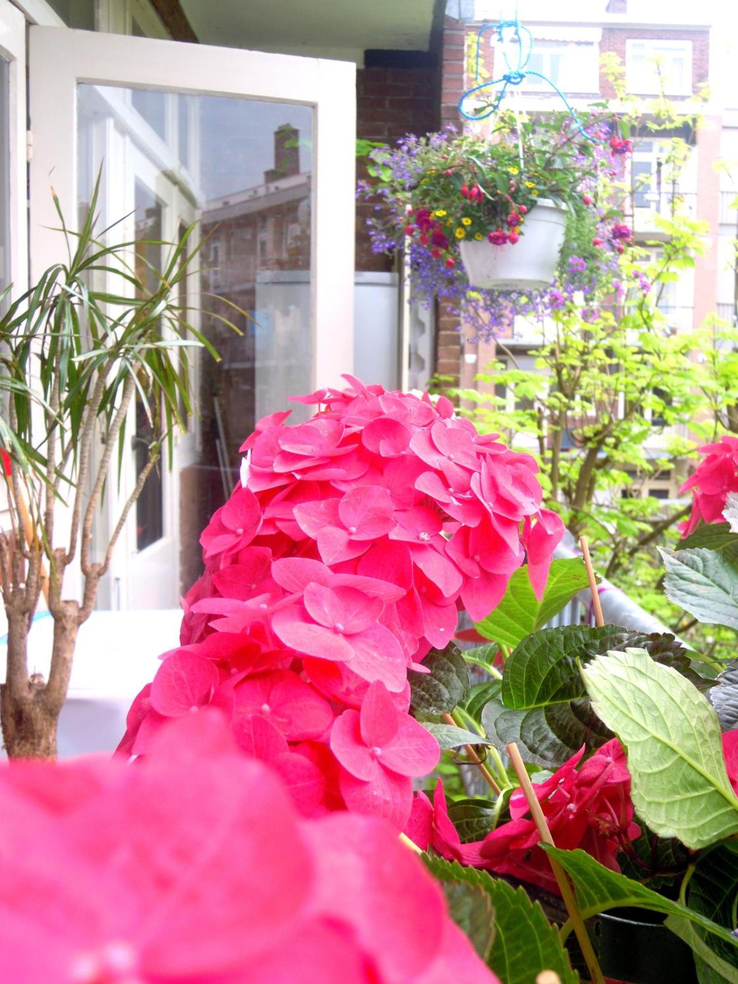 Missortelia B&B アムステルダム エクステリア 写真