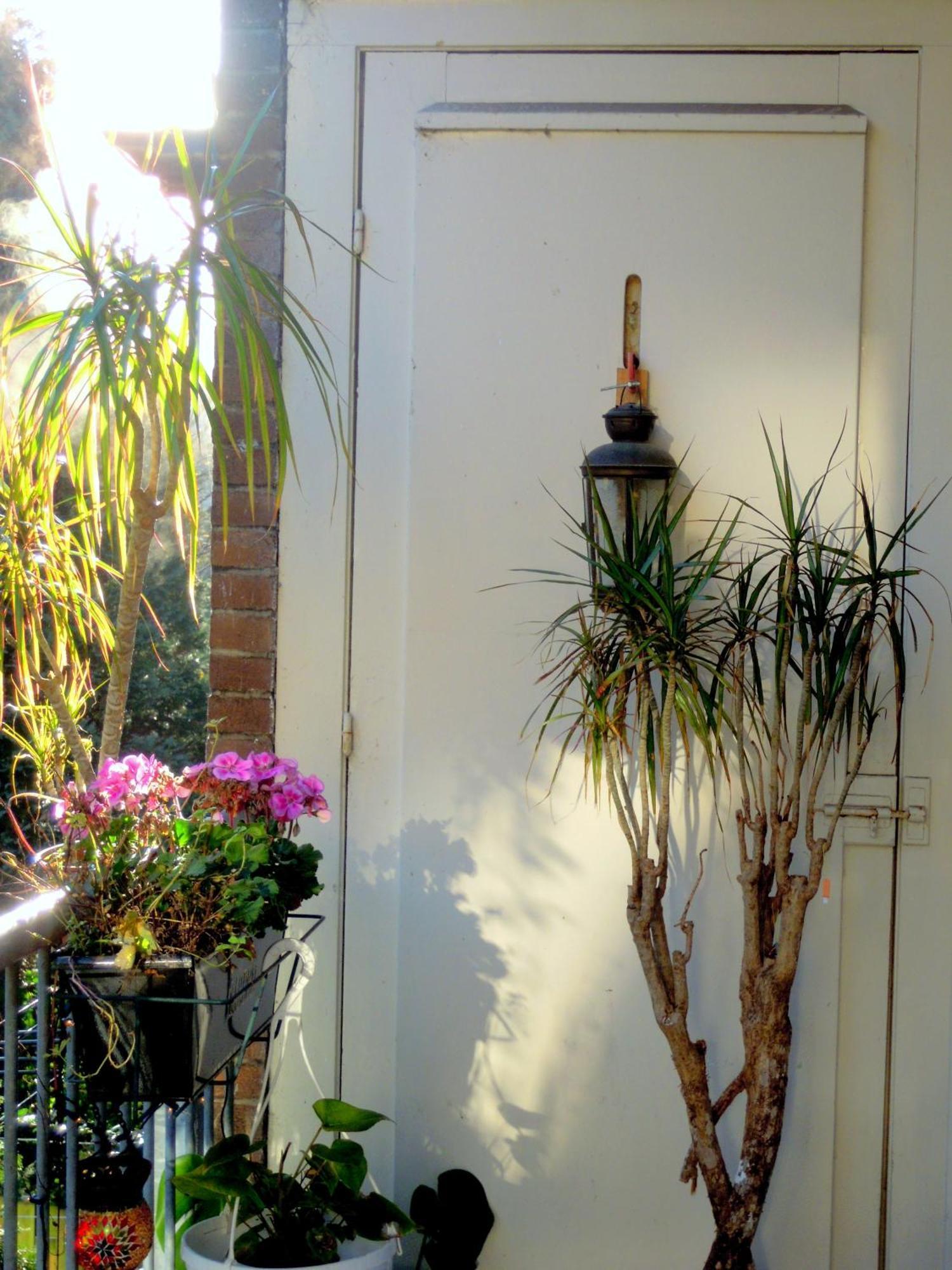 Missortelia B&B アムステルダム エクステリア 写真